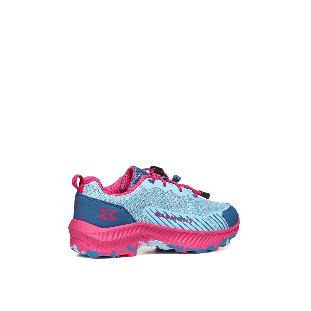 corydalis blue/raspberry pink