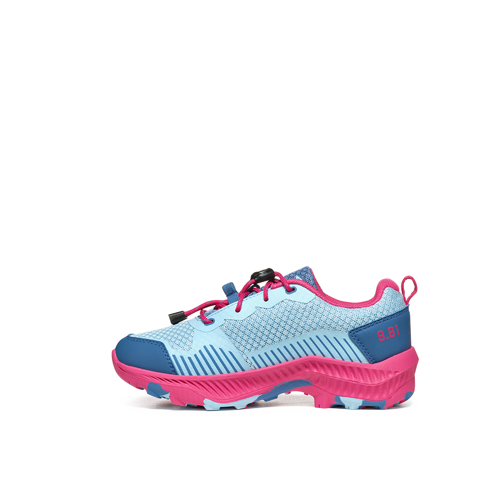 corydalis blue/raspberry pink