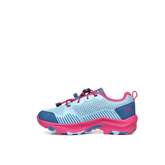 corydalis blue/raspberry pink