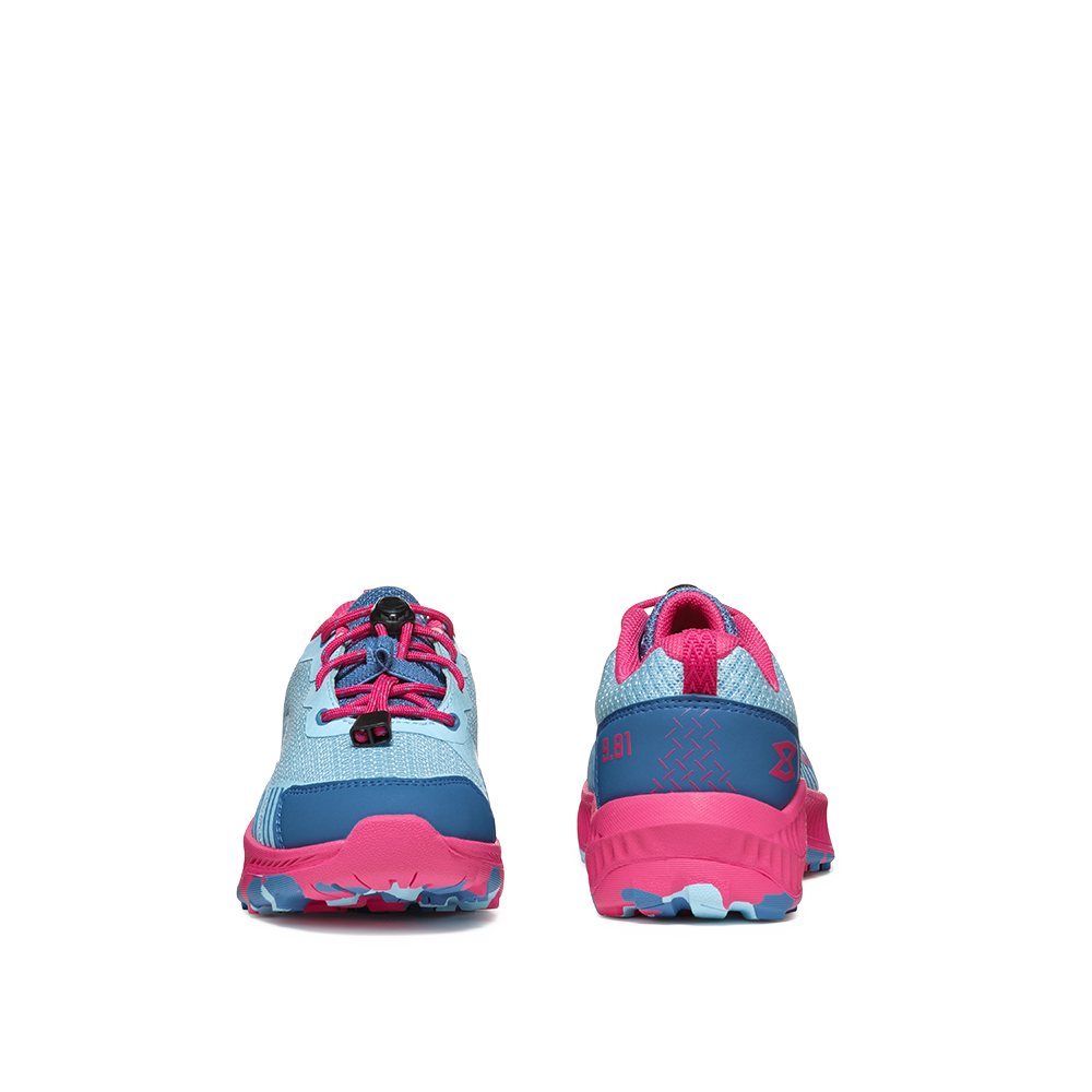 corydalis blue/raspberry pink