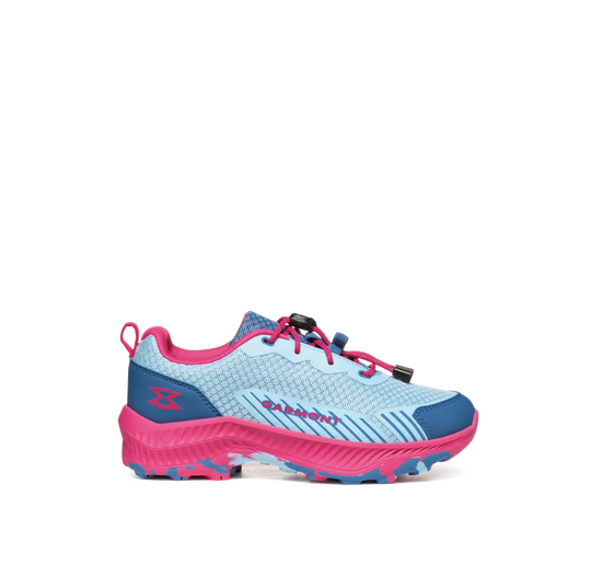 corydalis blue/raspberry pink