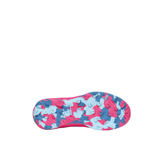 corydalis blue/raspberry pink